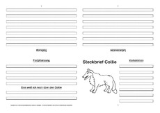 Collie-Faltbuch-vierseitig.pdf